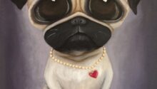 Pug  (2016)